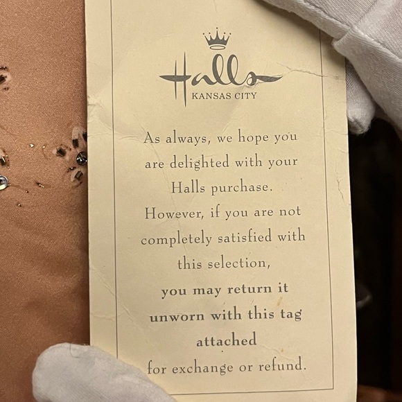 Copper/Blush Fairytale Ballgown Purchased at Hall's of Kansas City - Picture 6 of 7